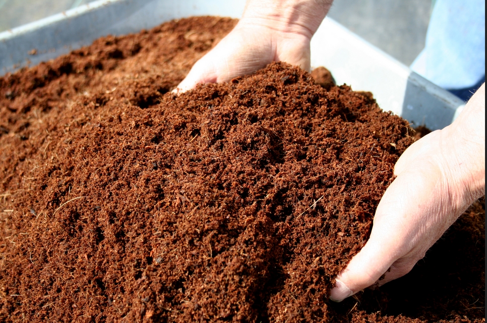 Sabut Kelapa untuk Pupuk