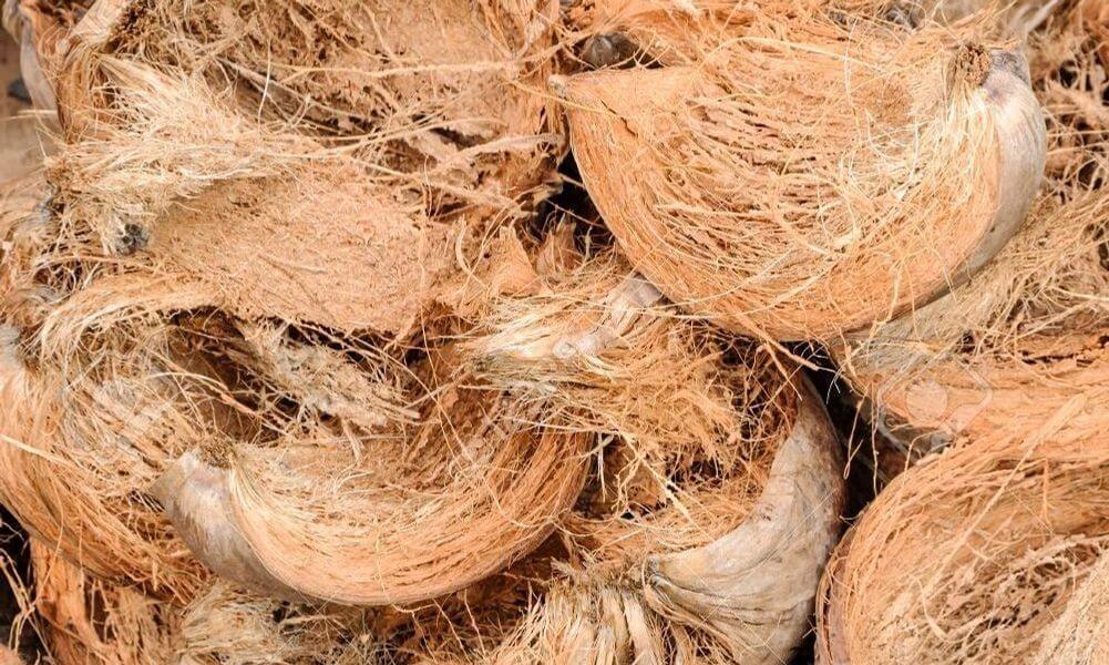 Peluang usaha dari Kelapa Rumahan