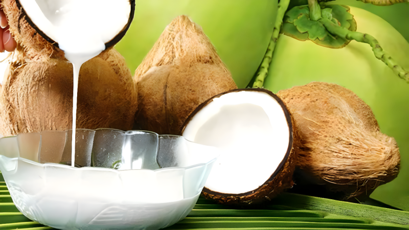 Usaha Pemerasan Santan Kelapa
