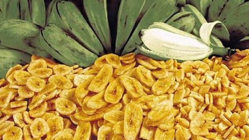 produksi camilan keripik pisang manis