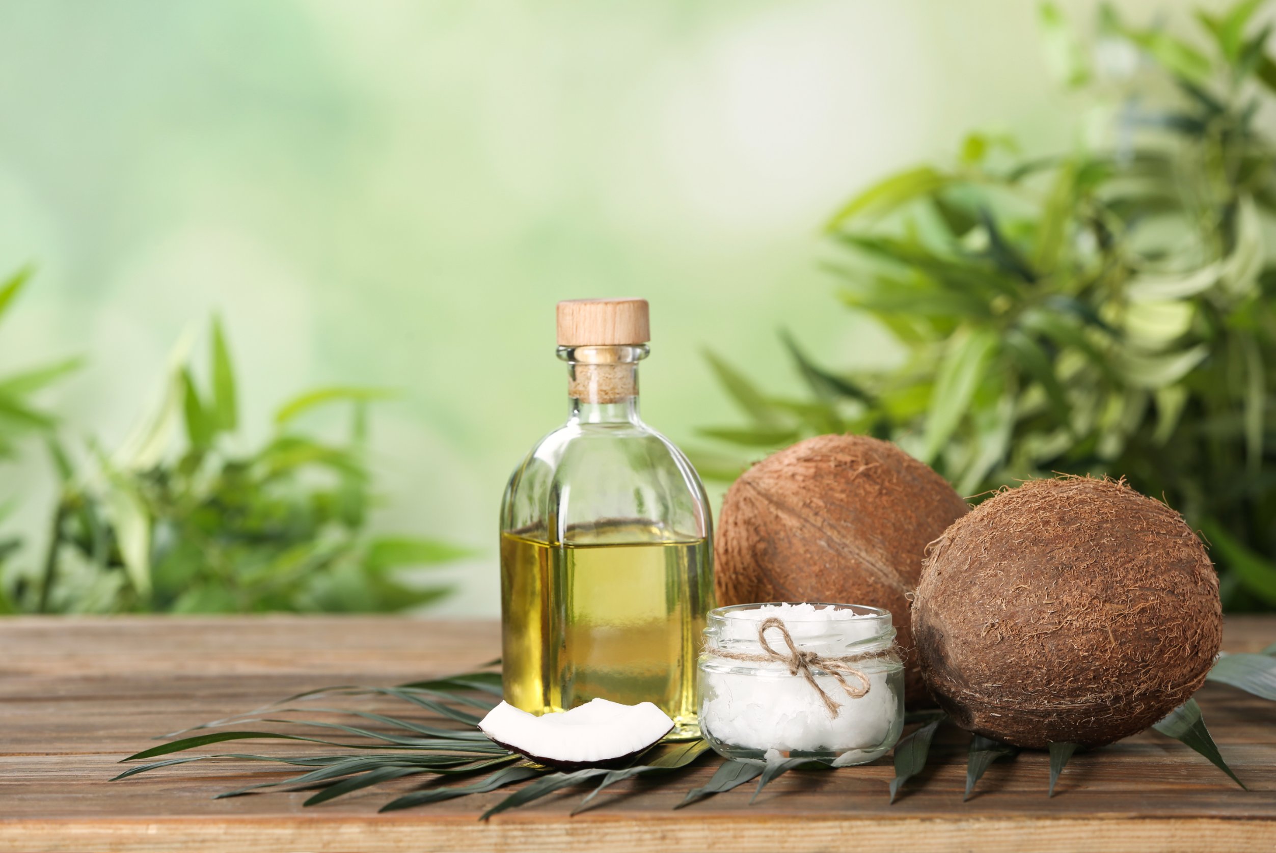 Peluang usaha dari Kelapa Rumahan