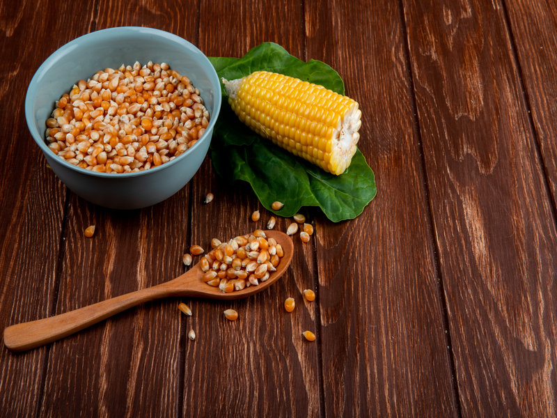 produksi jagung pipil kering