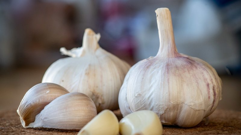 alat pemotong bawang untuk usaha