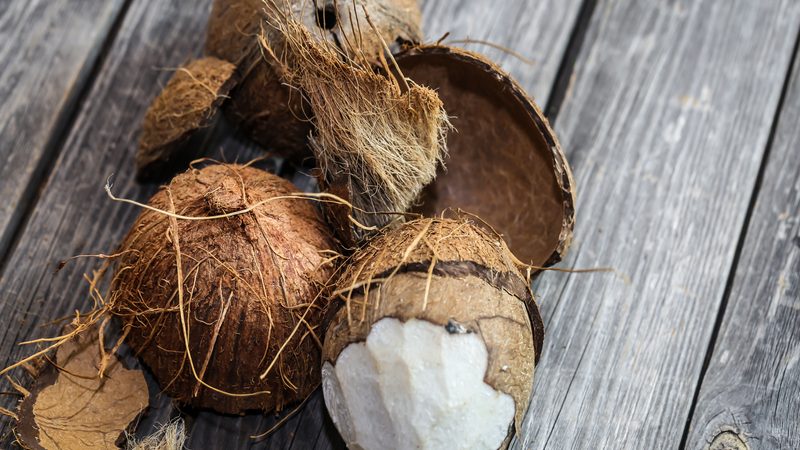 produk inovatif dari kelapa