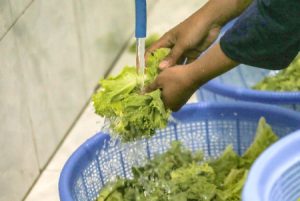 sop keamanan pangan mbg