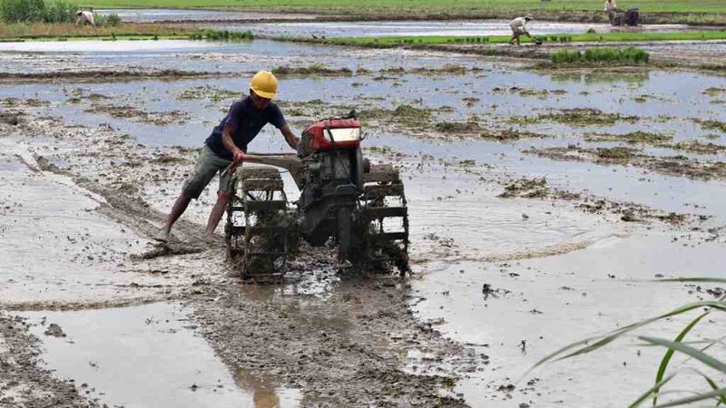 hand traktor lahan pertanian