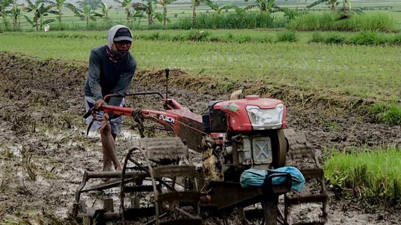 mesin pertanian roda dua