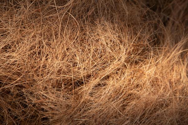 Jaring sabut kelapa awet