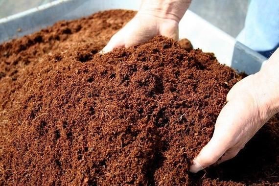 Usaha Cocopeat untuk Pertanian Modern