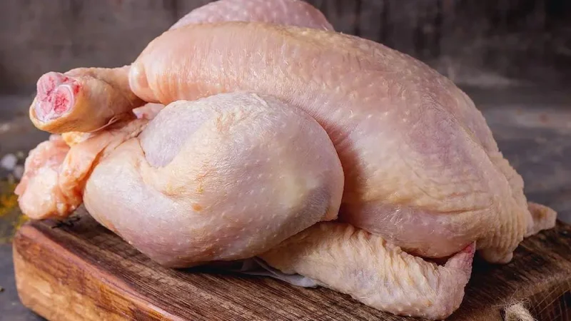 cara membersihkan bulu ayam