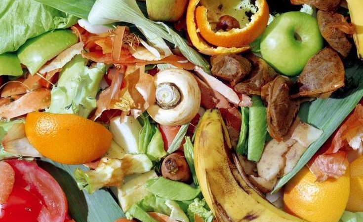 cara memanfaatkan sampah cacahan