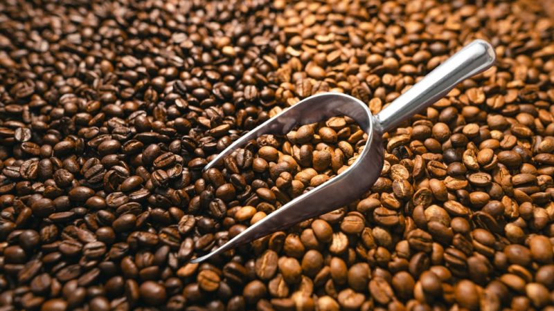 cara memisahkan kulit tanduk kopi